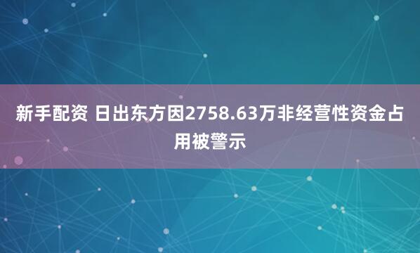 新手配资 日出东方因2758.63万非经营性资金占用被警示
