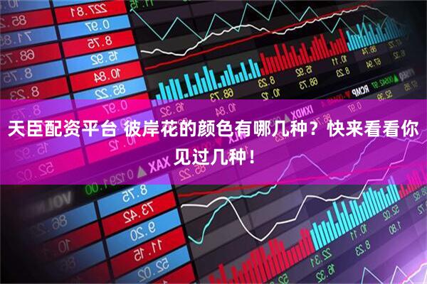 天臣配资平台 彼岸花的颜色有哪几种？快来看看你见过几种！