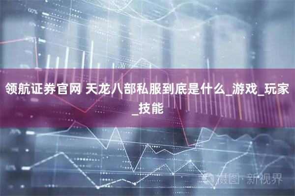 领航证券官网 天龙八部私服到底是什么_游戏_玩家_技能